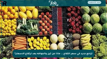 تراجع جديد في سعر التفاح… ماذا عن تين والجوافة بعد ارتفاع الأسعار؟